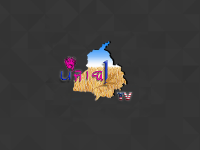 Punjab 1 TV (Clone)