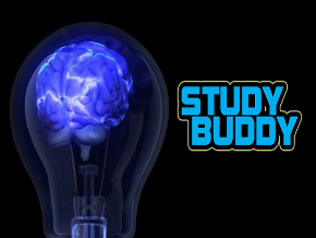 Study Buddy