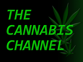 Cannabis Channel