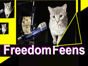 Freedom Feens radio