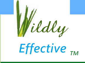 Wildly Effective Body Care & Natural Products
