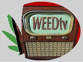 WEEDtv