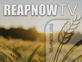 Reapnow TV