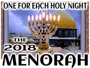 The Menorah 2018