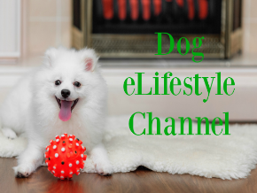 Dog eLifestyle